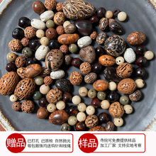已打孔各类菩提子散珠 金刚凤眼龙眼木鱼果千眼菩提根手串念珠DIY