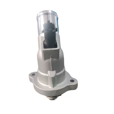 Thermostat for Chevrolet Buick