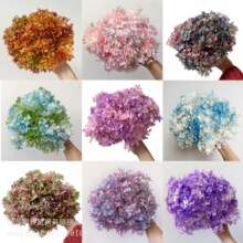 �����������򡿰��ȝu׃ɫС�~�����r�����ldiy���Ļ������