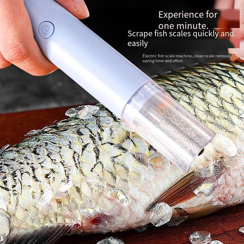 電動のうろこ削り器のうろこ削りはうろこを打って魚を殺します。|undefined