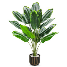 ����Gֲ18�^�Ž��~12�^���˽������B���Ԕ[���@���쾰�b�ֲ��