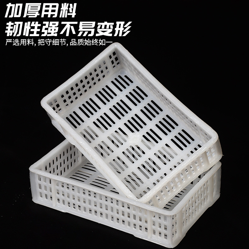 Cesta de rotación de arándanos multi-especificación engrosada caja de rotación logística caja de transferencia congelada de frutas almacenamiento cesta de plástico industrial image 3