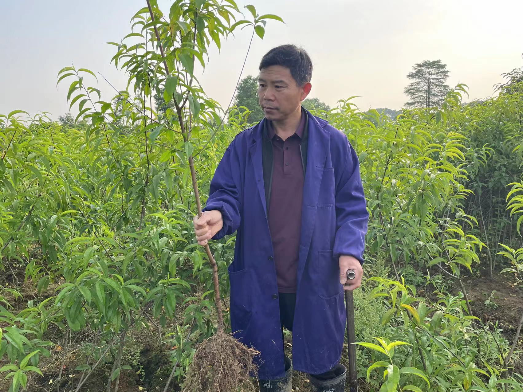 44004fdba5066d1a2466804963e584