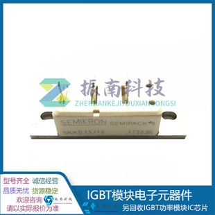 Brand New Skkd15/08 Skkh15/12 Skkh15/08 Skkh15/16E Scr Module in Stock