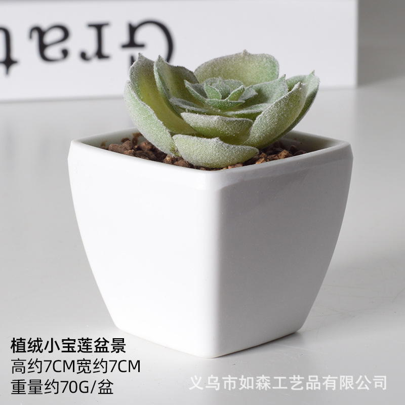 Simulación de plástico carnoso bonsai flor falsa combinación oficina interior escritorio plantas verdes pequeños adornos plantas artificiales al por mayor image 55