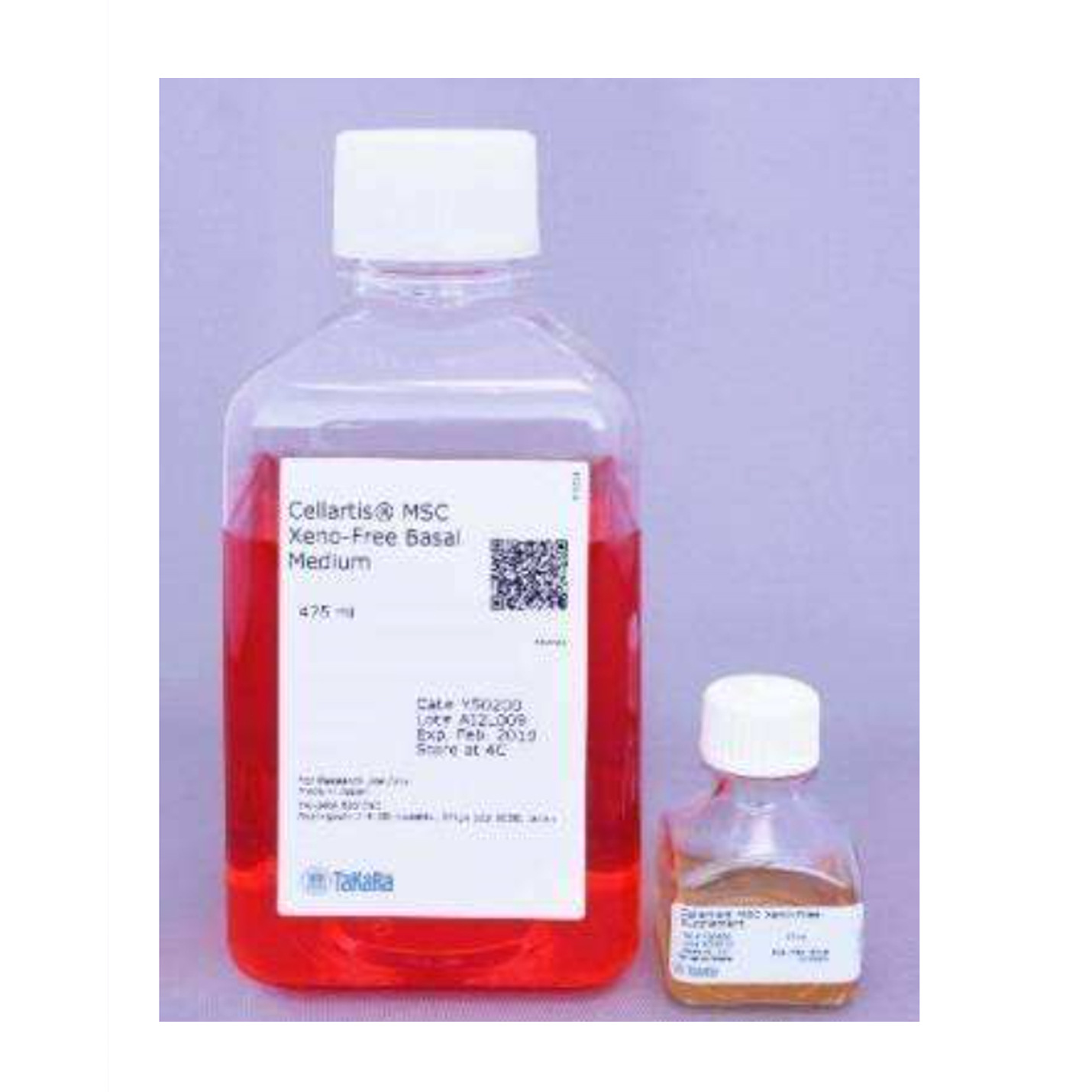 CellArtis Y50055 MireaCell Endothelial Cells (from ChiPSC12)