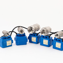 ?微型電動球閥不銹鋼304 電動閥門 電動二通閥DC5 ADC9-24V AC22