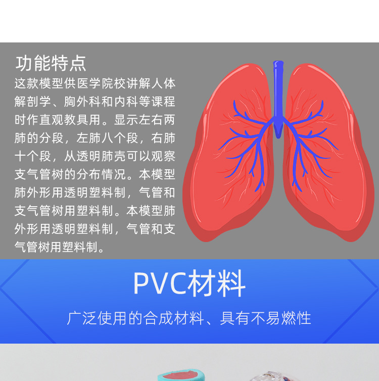 O1CN014lQM972Kk6XrRdNKZ_!!3578