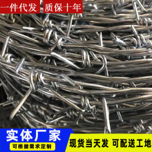 钢丝刺绳镀锌刺丝围墙防爬刺铁丝铁蒺藜防盗刺户外防锈铁丝网围栏