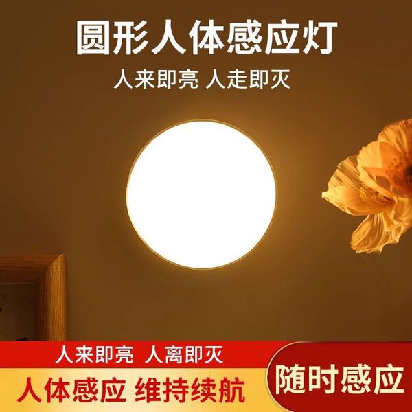 Human body induction lights