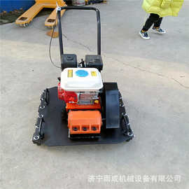 手扶式彩砖铺平机 汽油彩砖铺平机 广场砖夯平机 图片