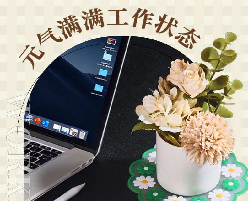 小雏菊详情_16