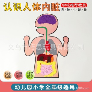 Science and Technology Small Production Human Internal Organs Teaching Aids Creative Kidsren's Non-Woven Handmade Material Package Human Body Appearance Cognition
