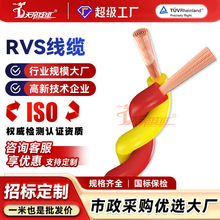 加工定制天帝RVS花线电源线铜芯2芯0.75 5 1.5 2.5平方双绞股电缆