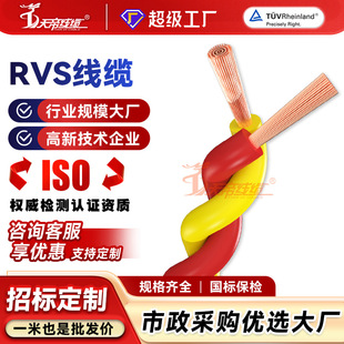 �ӹ��������RVS�����Դ���~о2о0.75 5 1.5 2.5ƽ���p�g����|