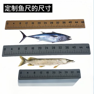 Yacht Marine EVA Fish Ruler