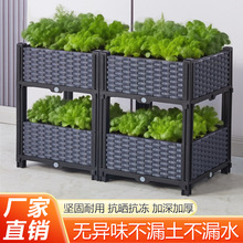 �̨���w�Nֲ��N������픲ˈ@�߲˷Nֲ�۴��ͻ����p��4�Nֲ��