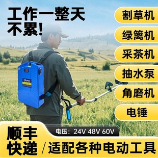 24V60V������18650�늳ر�ؓʽ늄Ӹ�ݙC�ɲ�C�@�ֹ��ߌ���