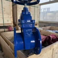 ���l�yGGG50ܛ�ܷⰵ�U�l�y�ܵ�DN100 /F4���U�i�]�l�y���y�T