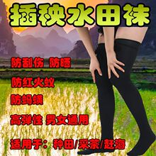 ���팣���m�ӌ���ЬŮʿ�L�m����ɳ���x��ˮ���s��ˮ�m�r����ˮ�m