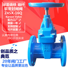 ����ɭZ45X-10/16Q���m��ī�T�Fdn100��ˮ���������U ܛ�ܷ��l�y