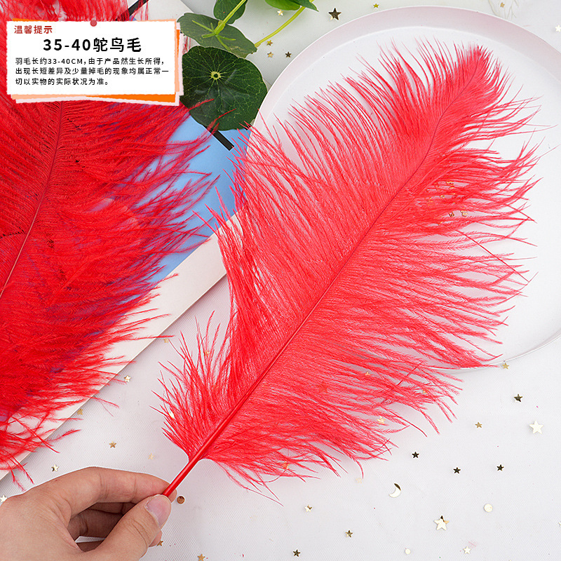 57 メーカーが既製の大きな赤い羽の DIY ジュエリー アクセサリー、衣類、工芸品、装飾材料を供給しています。|undefined