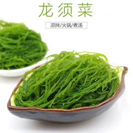 海带;海藻类;紫菜