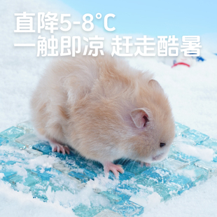 J8 Cooling Ice Pad Hamster Summer Rabbit Mat Pet House Summer Mat Golden Bear Ice Nest Cooling G3