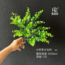 ����ֲ��������پGֲ���b��J�C���ȼ����������\�����l