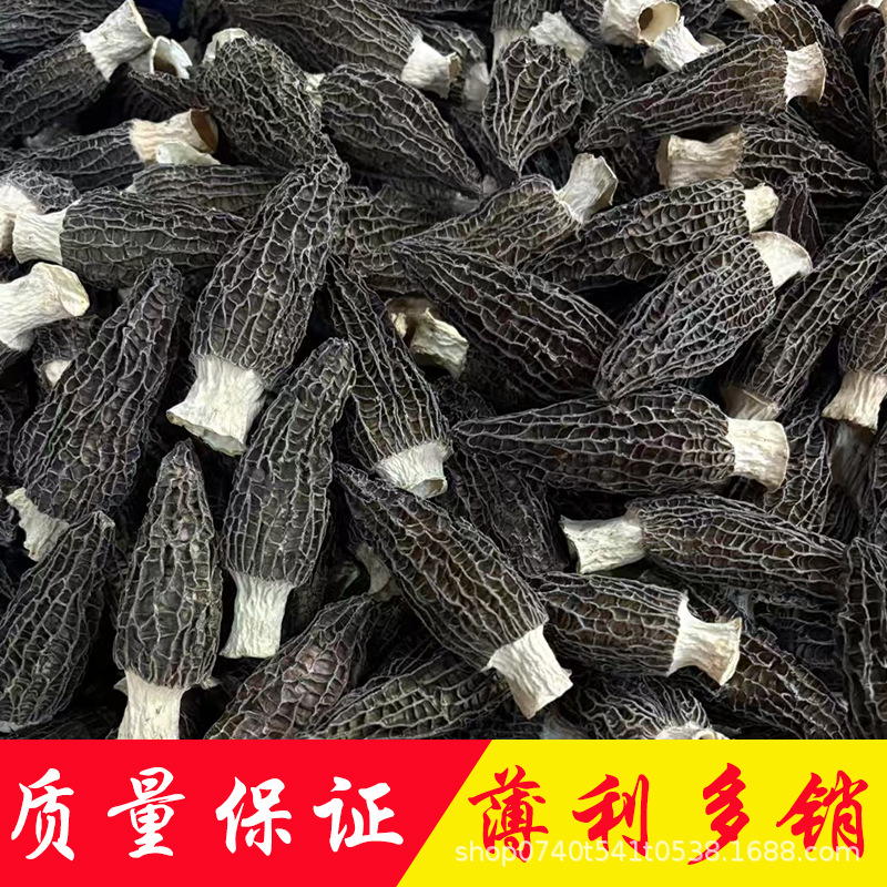 羊肚菌原产地直销批发云南特产精选剪柄干货新鲜烘干当季头茬厚肉