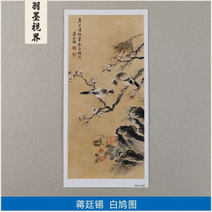 Replica of a Famous Painting by Jiang Tingxi, "White Dove" - a Small Freehand Ink Painting of Flowers and Birds, Chinese Art Giclée Reproduction for Decoration