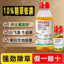 ���ٷ���Ʒ��10%�����@��@�}�������݄����@���و@��@���ٜ��