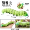 By8052 fennel worm
