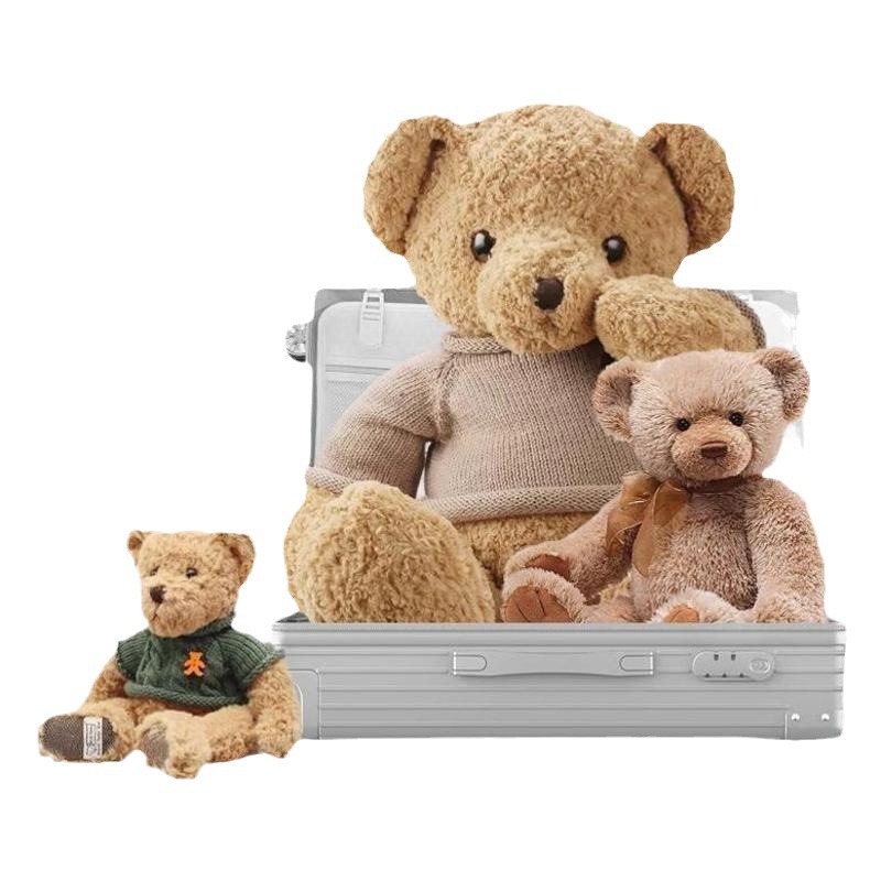 Maleta femenina de 24 pulgadas de gran capacidad de expansión gruesa caja de tracción masculina desgaste viaje universal rueda contraseña resistente y duradera