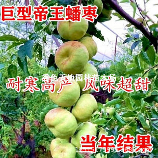 �������޽�󴗗�����ش����������ͥԺ���Ե��ԷNֲ�������