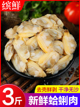 ⻨rS͘⻨rݺݺrؐǸ؛ʳ