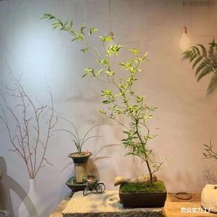 С�~�����Ϙ�����С�~�{���Ϙ������������Ͳ��������辰���^�҃�