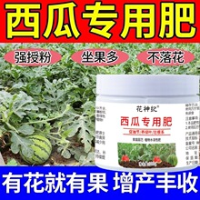 西瓜专用肥有机肥颗粒缓释肥营养液叶面喷通用西瓜苗底肥厂家直销