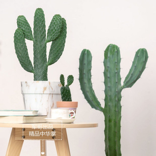 �Gֲ������ɳ��ֲ������҃��k������ؔ��ֲ�����Ա��W�L������