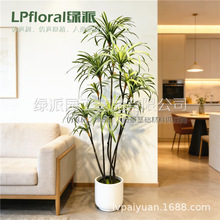 �羳���Q؛Դ���ͷ�����Ѫ���߅ֲ��͏d��������쾰�b[��