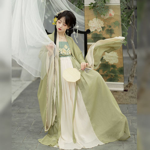 Tang Dynasty Hanfu Fairy dress for women tang myrobalan dress hanfu adult female
