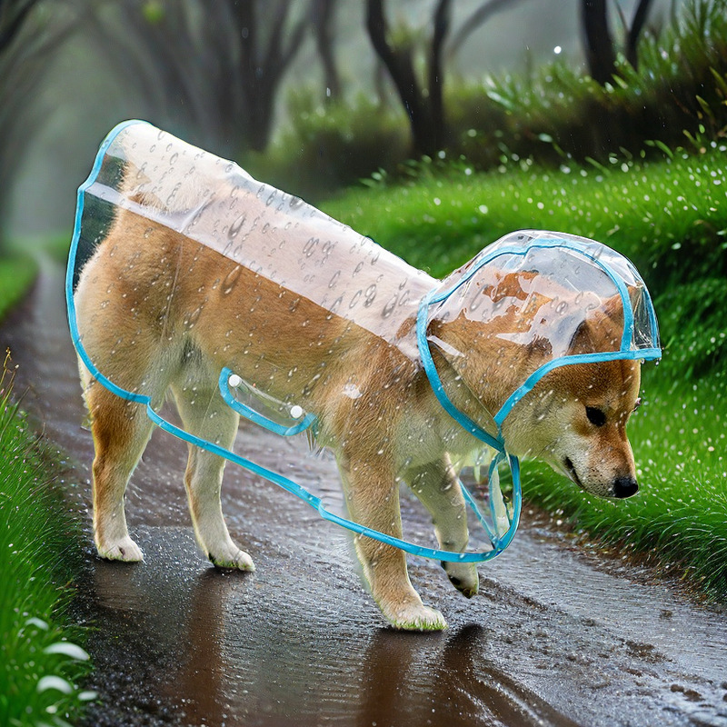 블루 엣지 투명 판초(고품질)