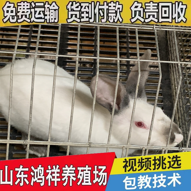 4ab03610bc614cd6862ed03b1a84bf