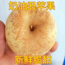 奶油富士残次苹果黄金苹果奶油苹果脆甜多汁山东烟台新鲜水果批发