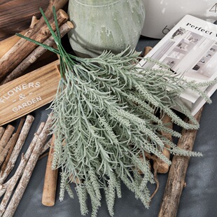 ޹�²����컨 ��β����ݷ��滨�S�Ҽٻ��Gֲ���c�b�ˇƷ