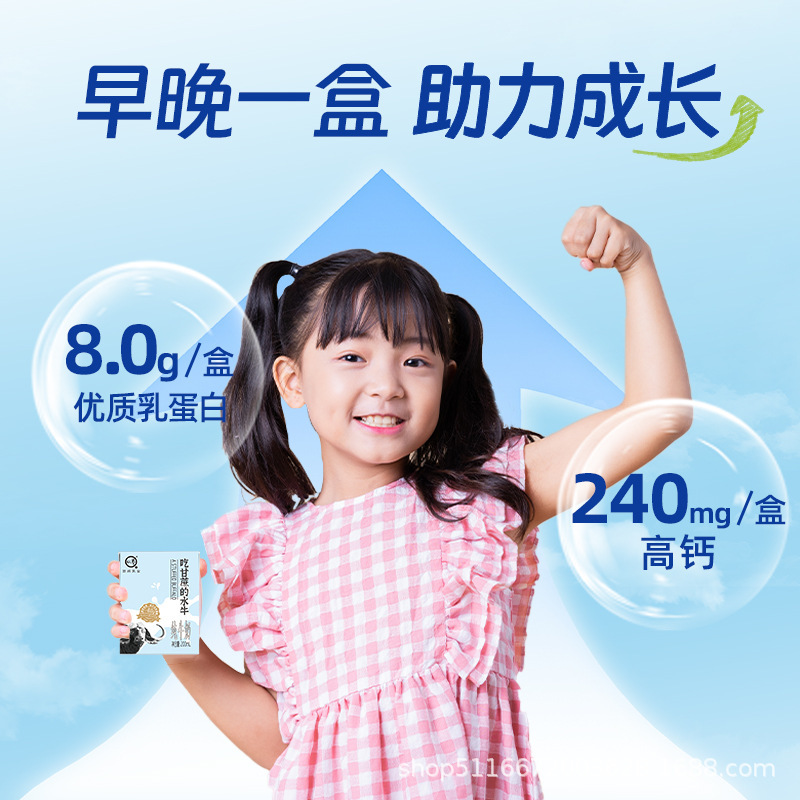 认养吃甘蔗的水牛奶儿童牛奶成人学生营养早餐全脂纯牛奶整箱批发|undefined