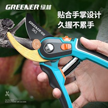�G�ֹ�����֦�����l����ʡ����Ч�@�ֈ@ˇ������ľ�޼�����
