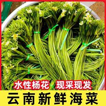 ����r��ˮ�ԗ�˺��˻����r�߲ˬFժ�����خa��������Ұ��ʳ��