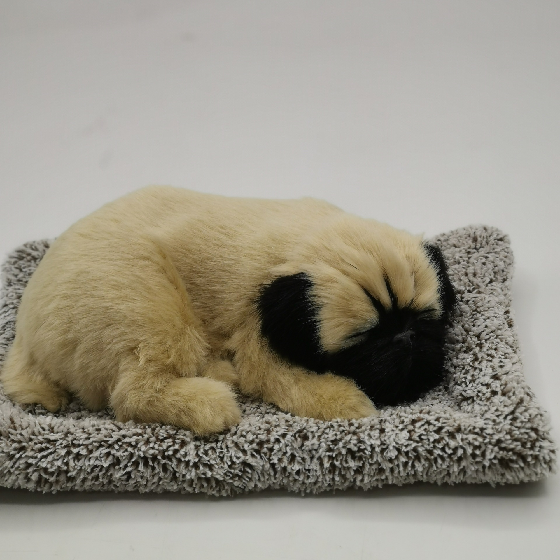 Un perro de peludo grande