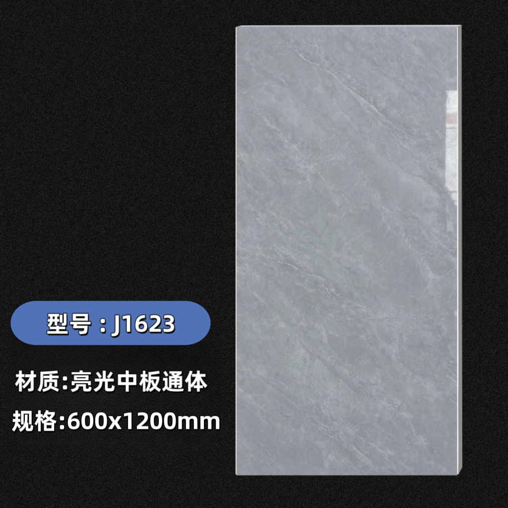 J1623(핫셀링 모델)